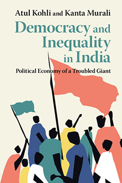 Democracy and Inequality in India book cover