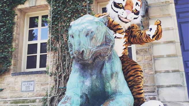 Princeton tiger mascot
