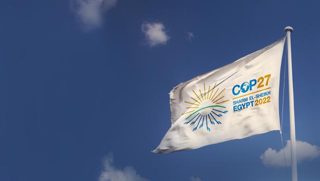 COP27 flag