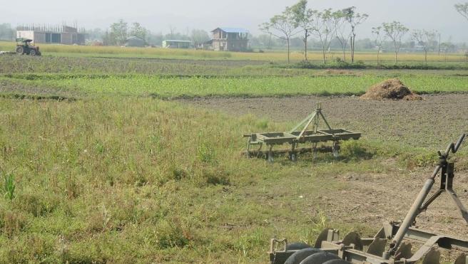 Farm in Nepal. Photo credit: Nicolas Choquette-Levy.