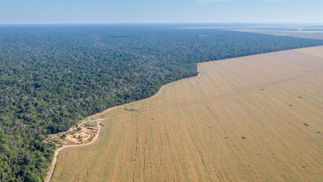 Aerial drone view of large soybean farms in the Amazon rainforest, Brazil. Photo credit: Frontpage / Shutterstock