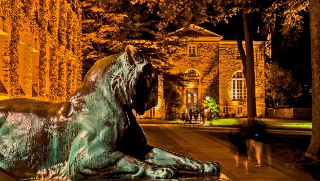 Princeton Tiger