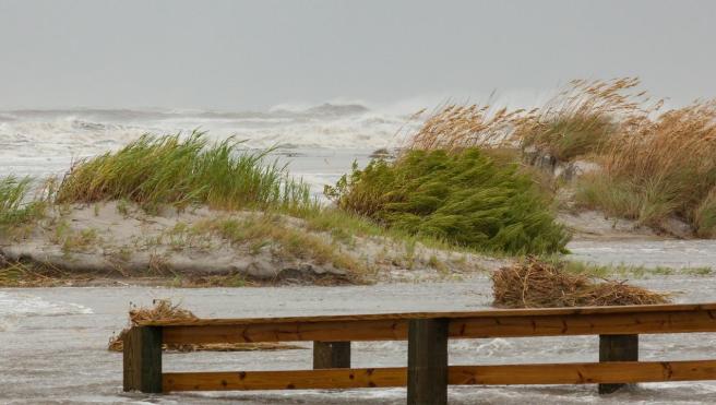 Source: Beach Cottage Photography, Getty Images Signature