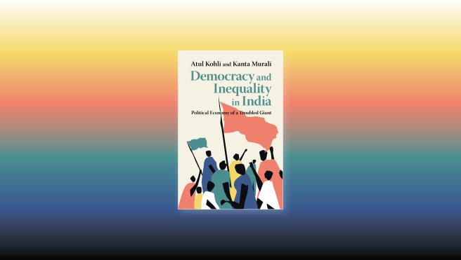 Democracy and Inequality in India: Political Economy of a Troubled Giant book cover