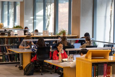 Students studying at Stokes Library