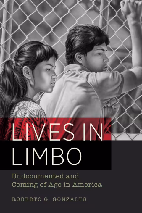 lives in limbo book cover