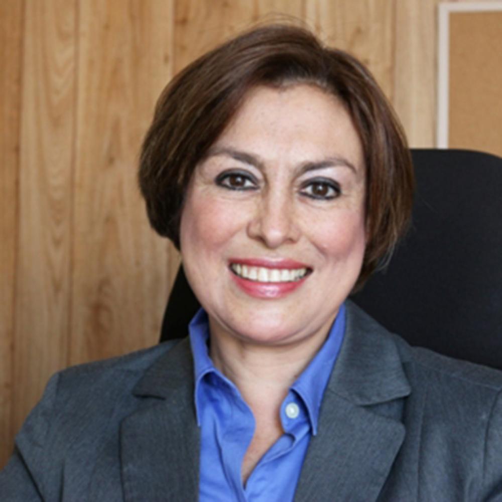 María Antonieta Del Cid