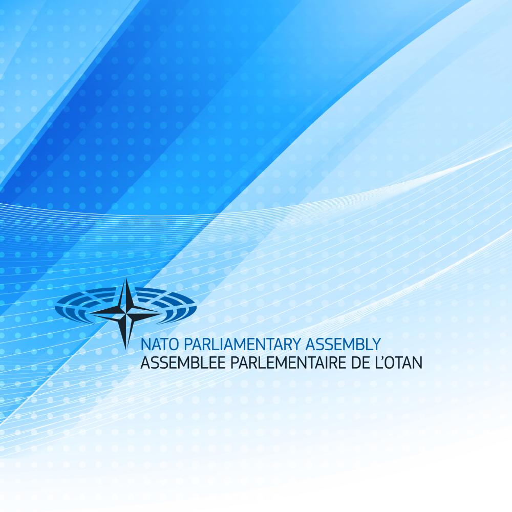 NATO header with logo