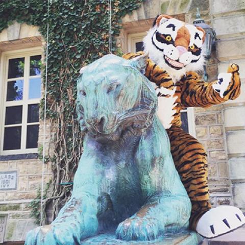 Princeton tiger mascot