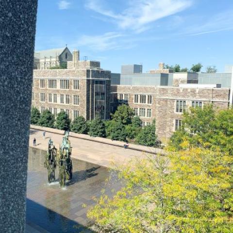 Fountain of Freedom