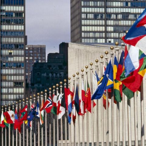 UN Flags