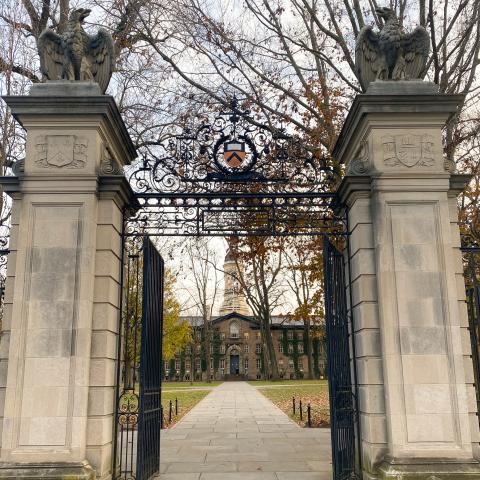 Princeton, looking at Nassau