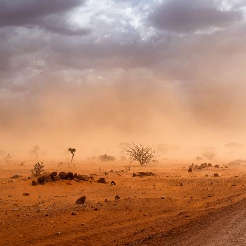 dirt road and yellow orange dusty sandstorm Somalia region