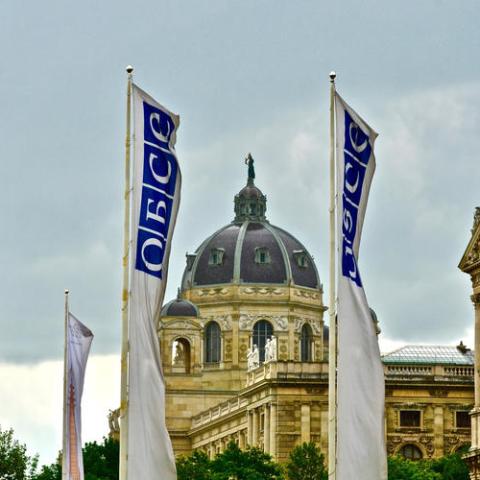 OSCE flags