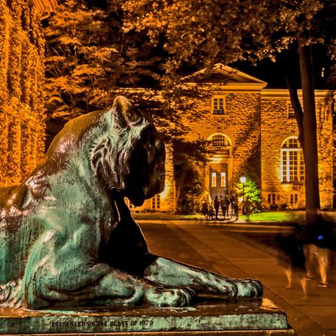 Princeton Tiger