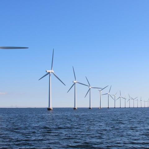 Offshore wind farm (stock.adobe.com)