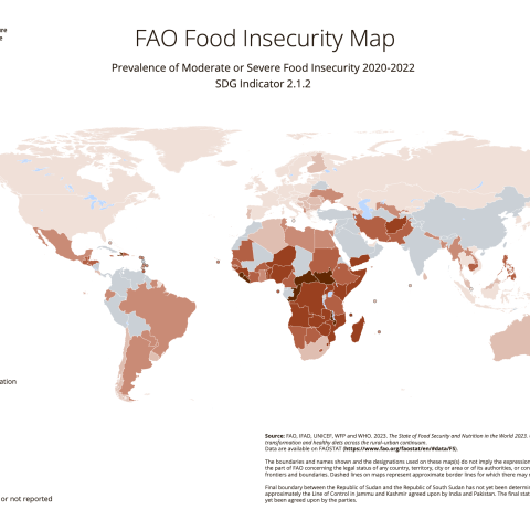 FAO 20 22 food insecurity map