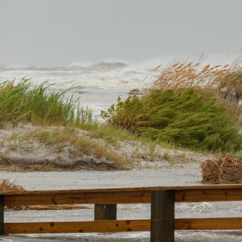 Source: Beach Cottage Photography, Getty Images Signature