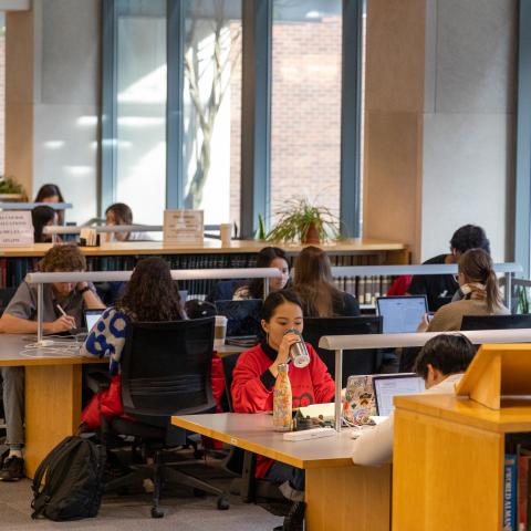 Students studying at Stokes Library