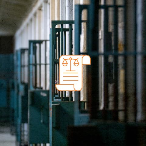 row of jail cell doors