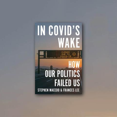 in covids wake
