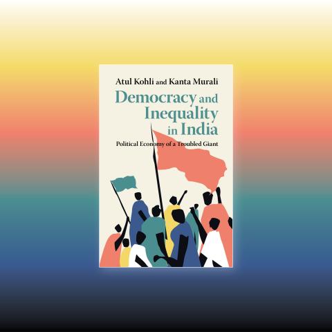 Democracy and Inequality in India: Political Economy of a Troubled Giant book cover