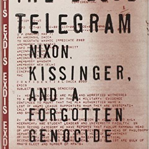 The blood telegram book