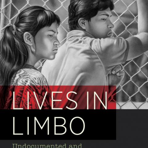 lives in limbo book cover