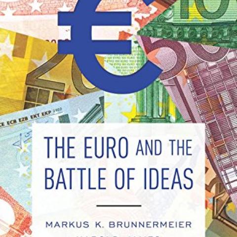 The Euro and the Battle of Ideas Book Cover