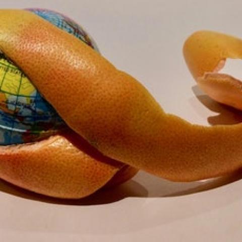 Photo of globe surrounded by food