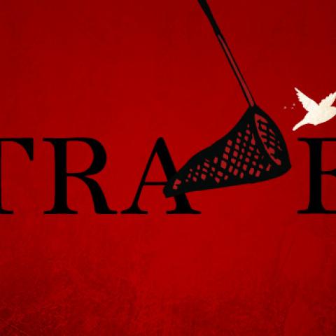 Trade with a net