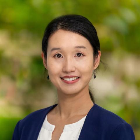 Profile picture for user weipeng