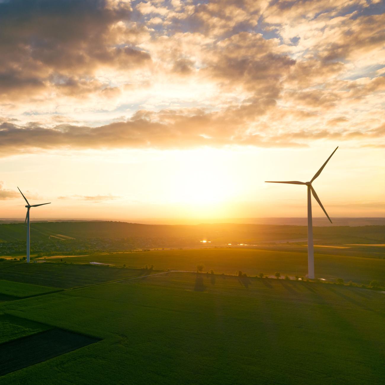 windmills in a field
