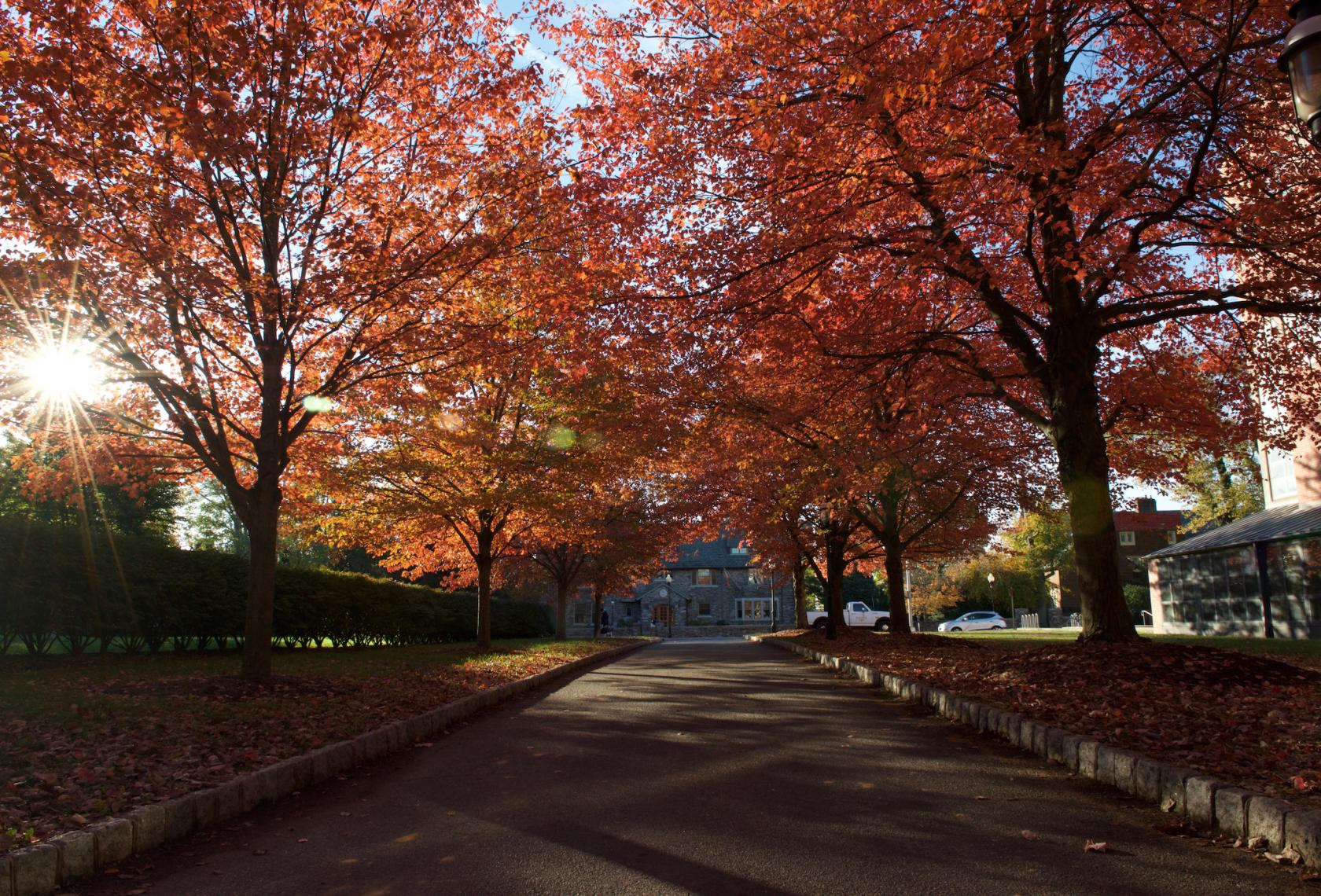 Corridor near Bendheim Hall with autumn foliage
