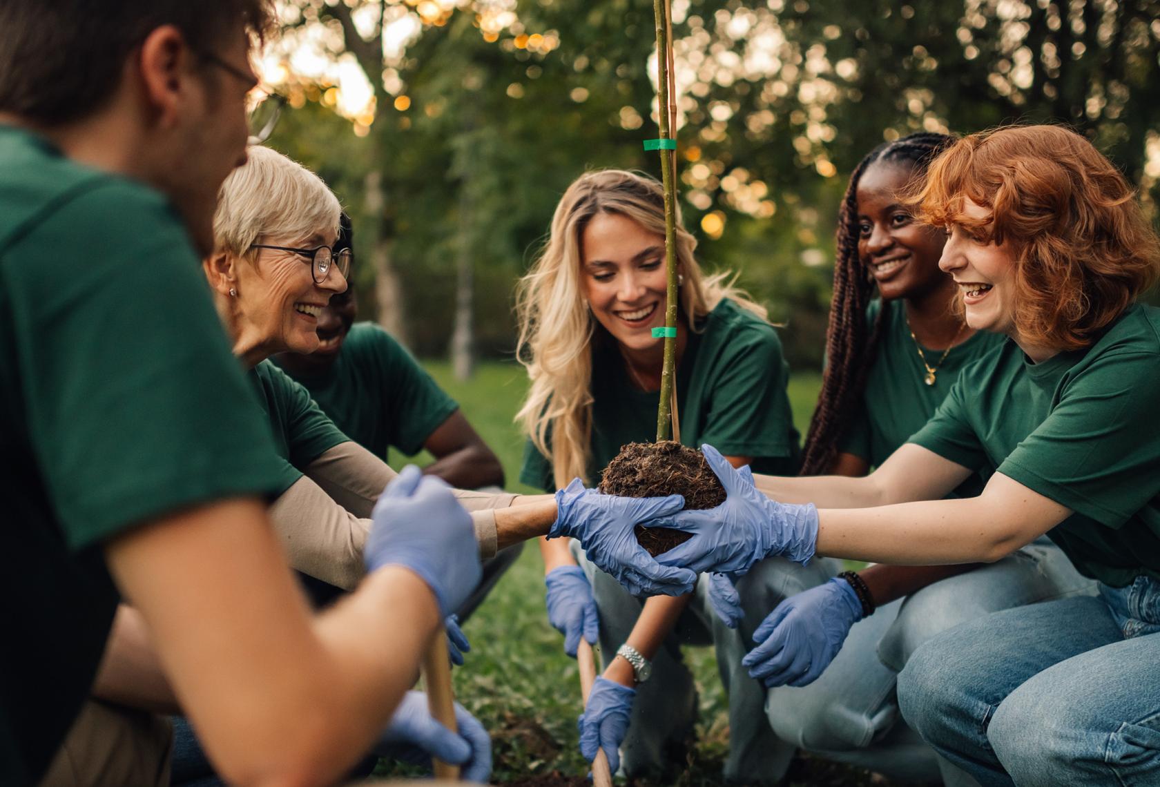 volunteers planting tree with gloves on