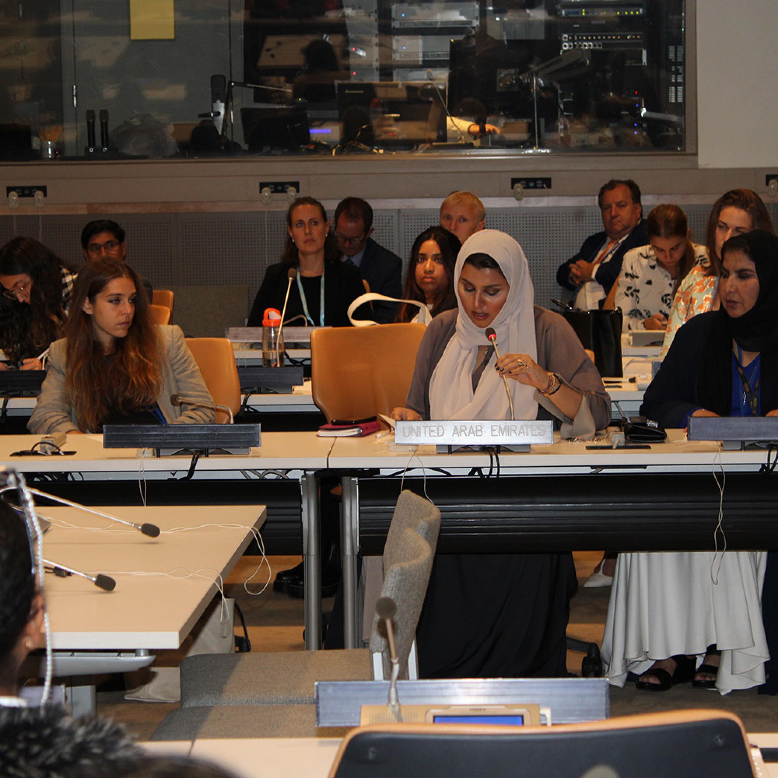 Participants at UNGA