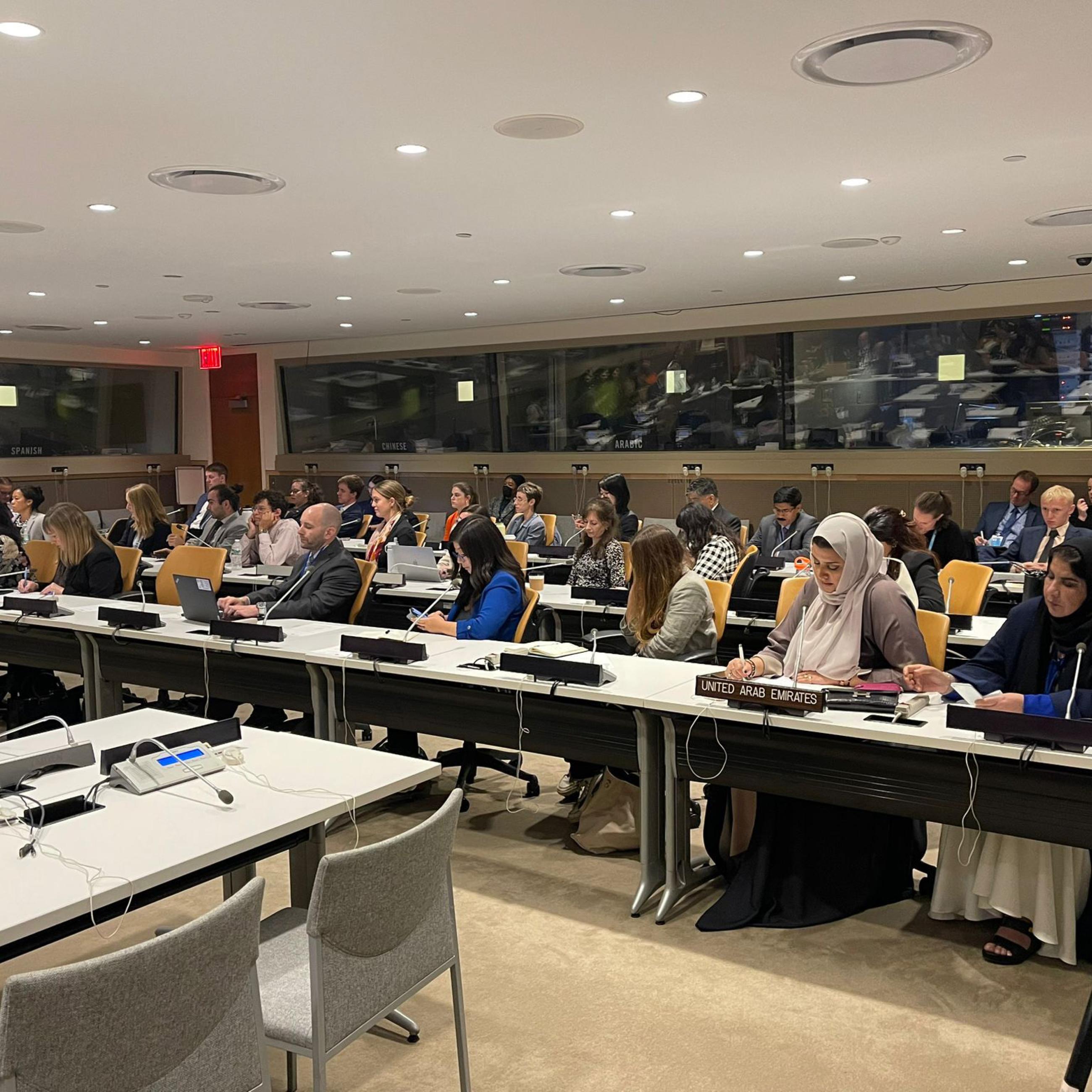 Participants at UNGA