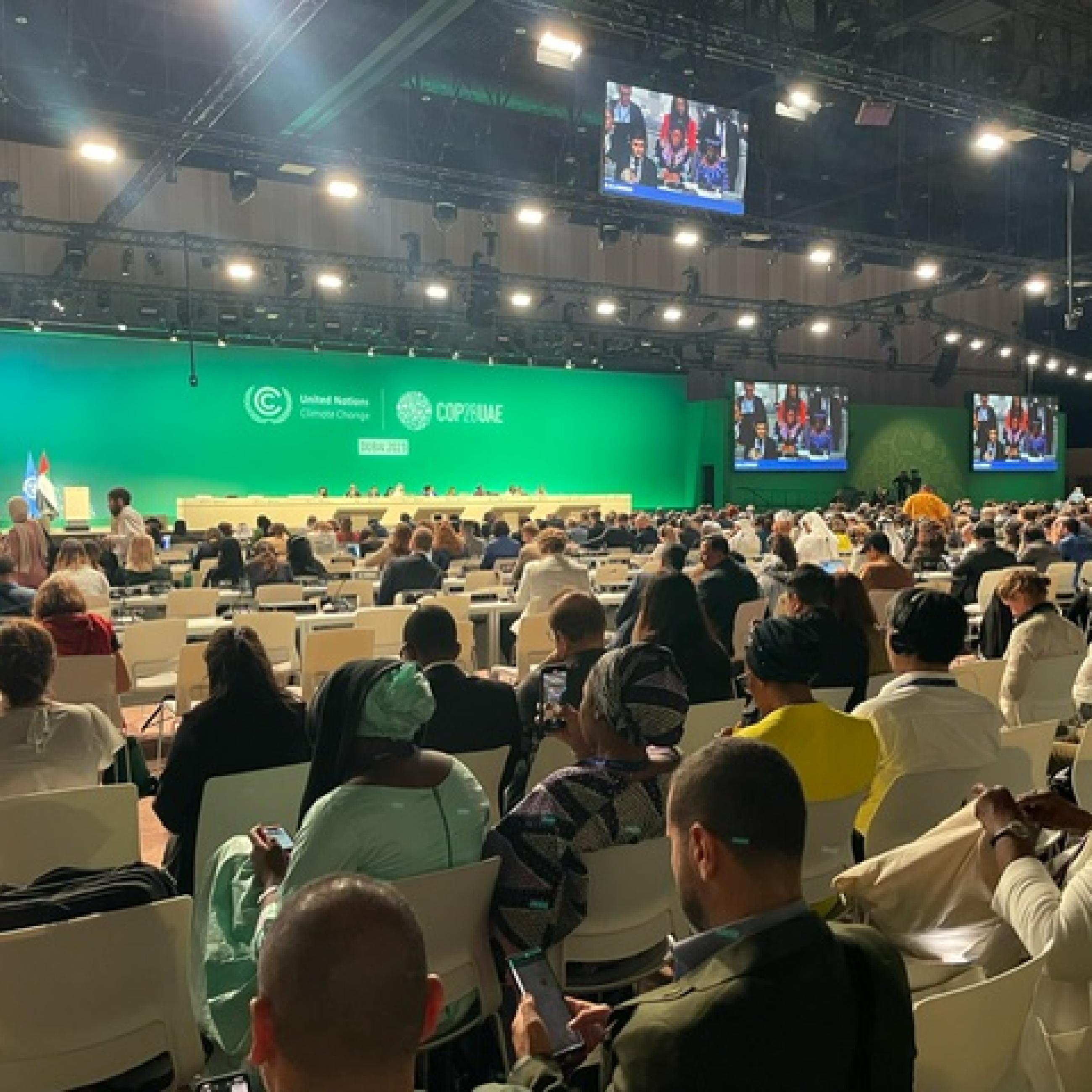 Participants at COP28 conference