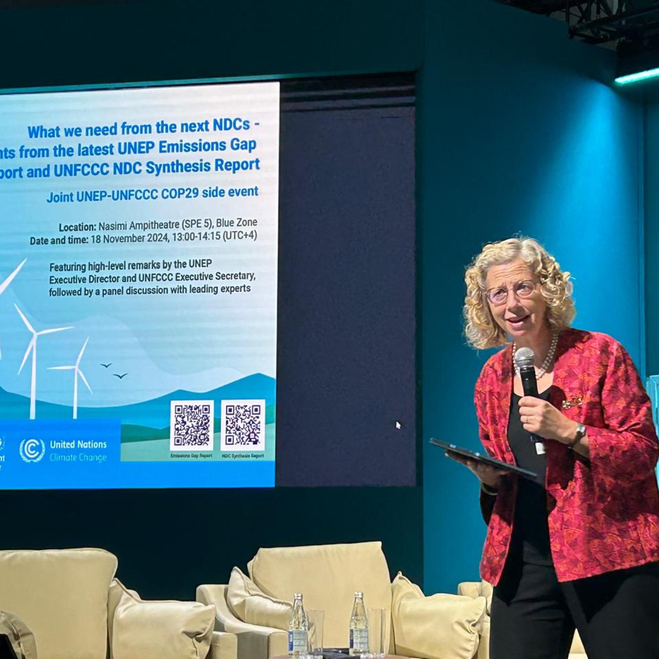 2024 COP29 in Baku, Azerbaijan, conference panelist