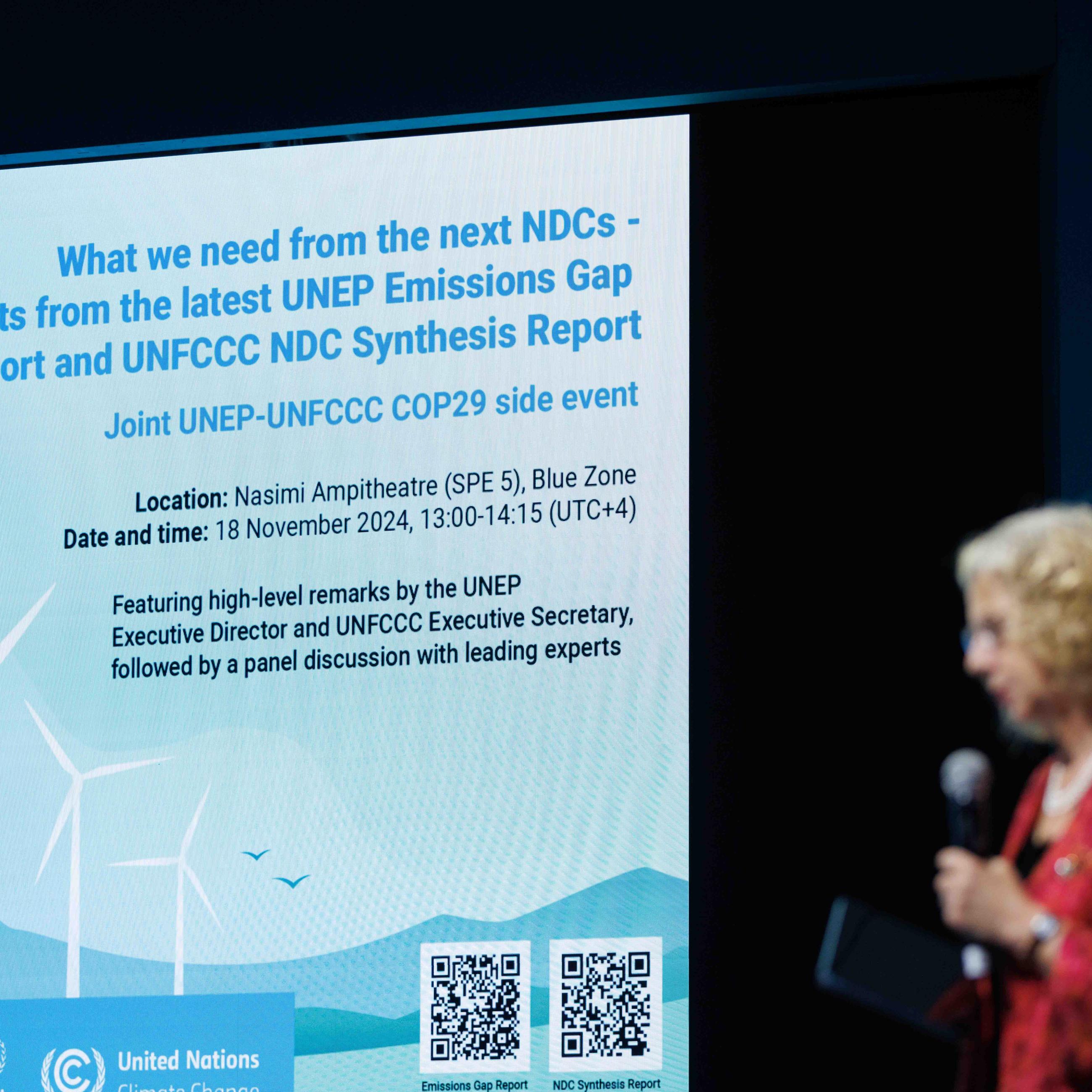 2024 COP29 in Baku, Azerbaijan, conference panelist