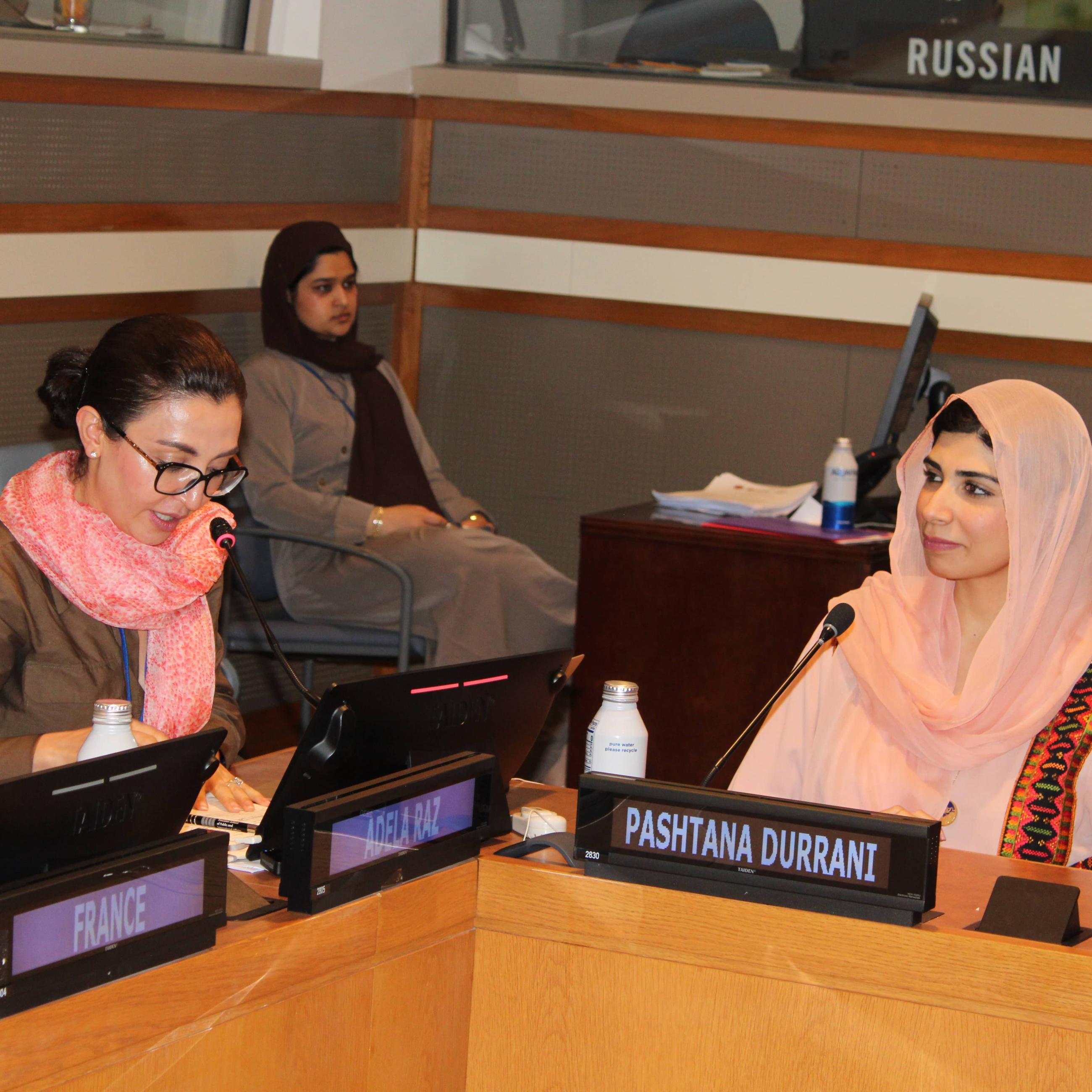 Panel participants at UNGA 2025