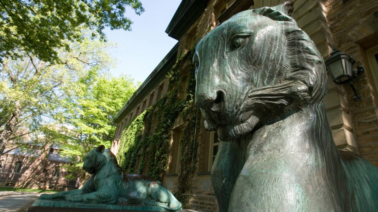Nassau Hall Tigers