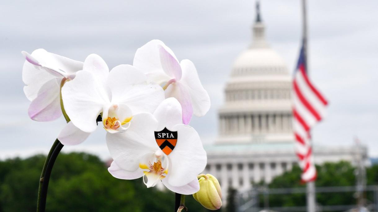 flower and us capitol