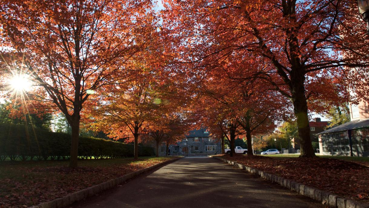 Fall trees with leaves of orange, red, and yellow line a pathway on the Princeton campus