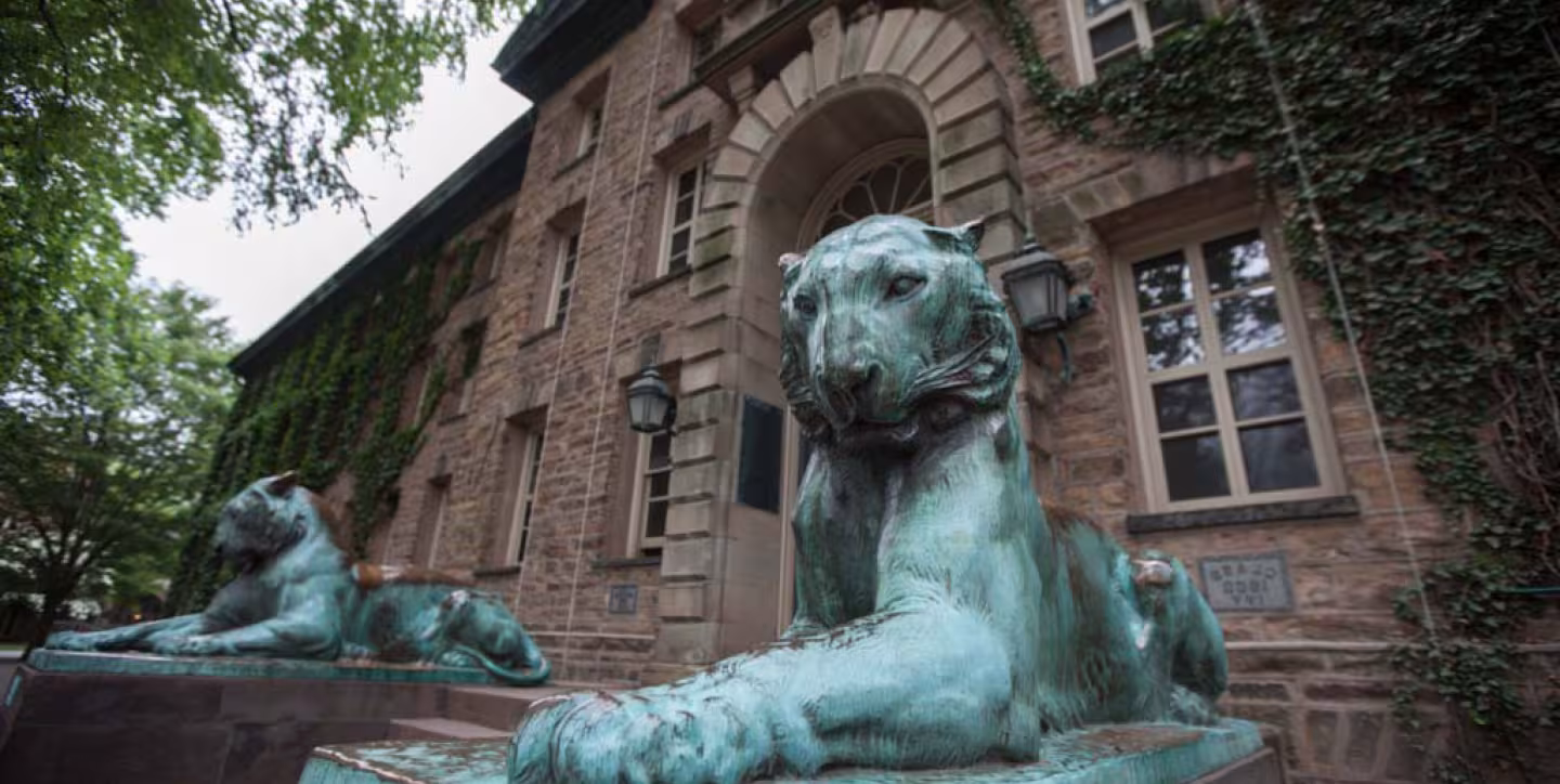 tiger in front of building