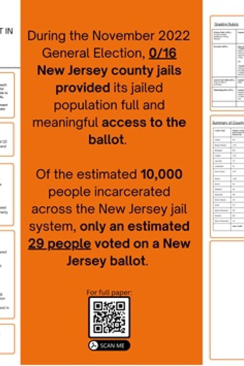 Detaining Democracy poster