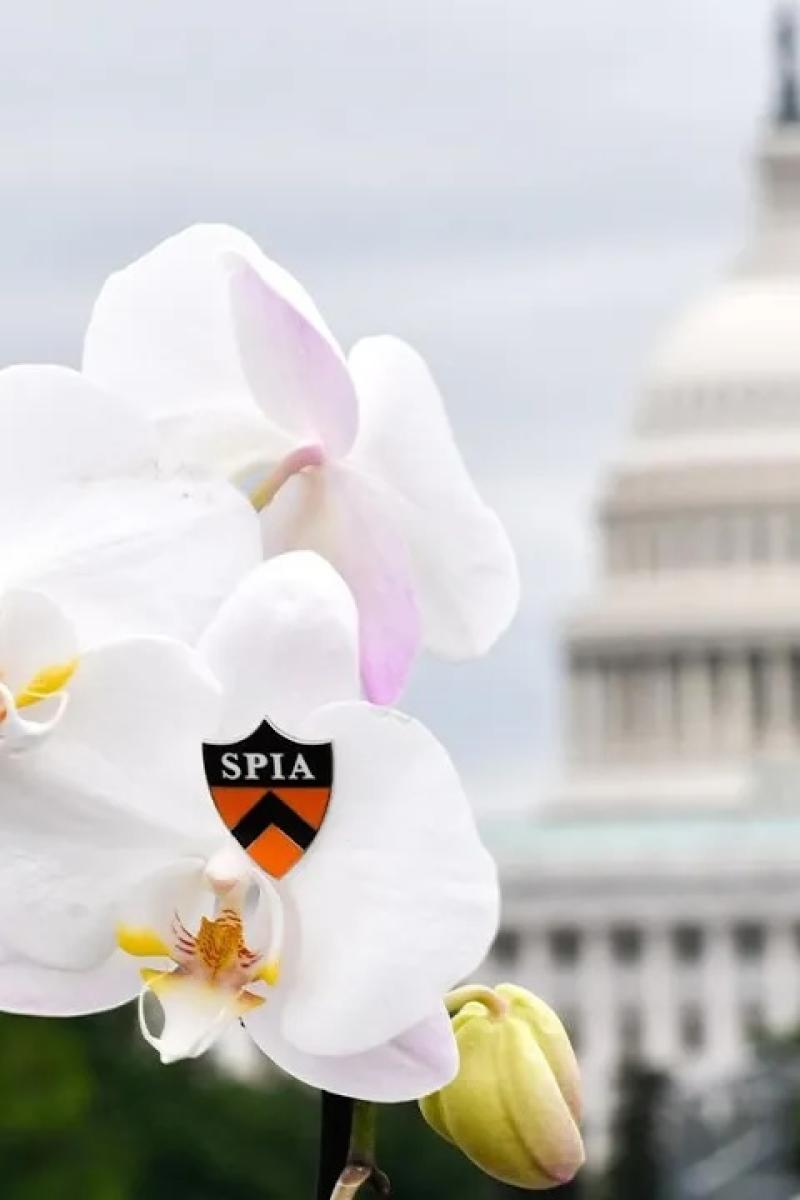 SPIA pin and flowers with Capitol building in background